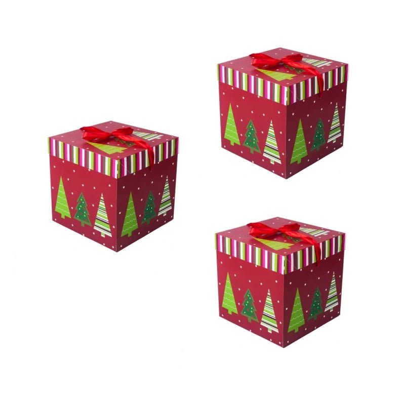 Christmas Gift Box - SpaceTrips