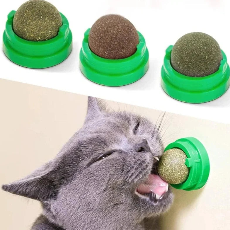 Catnip Ball