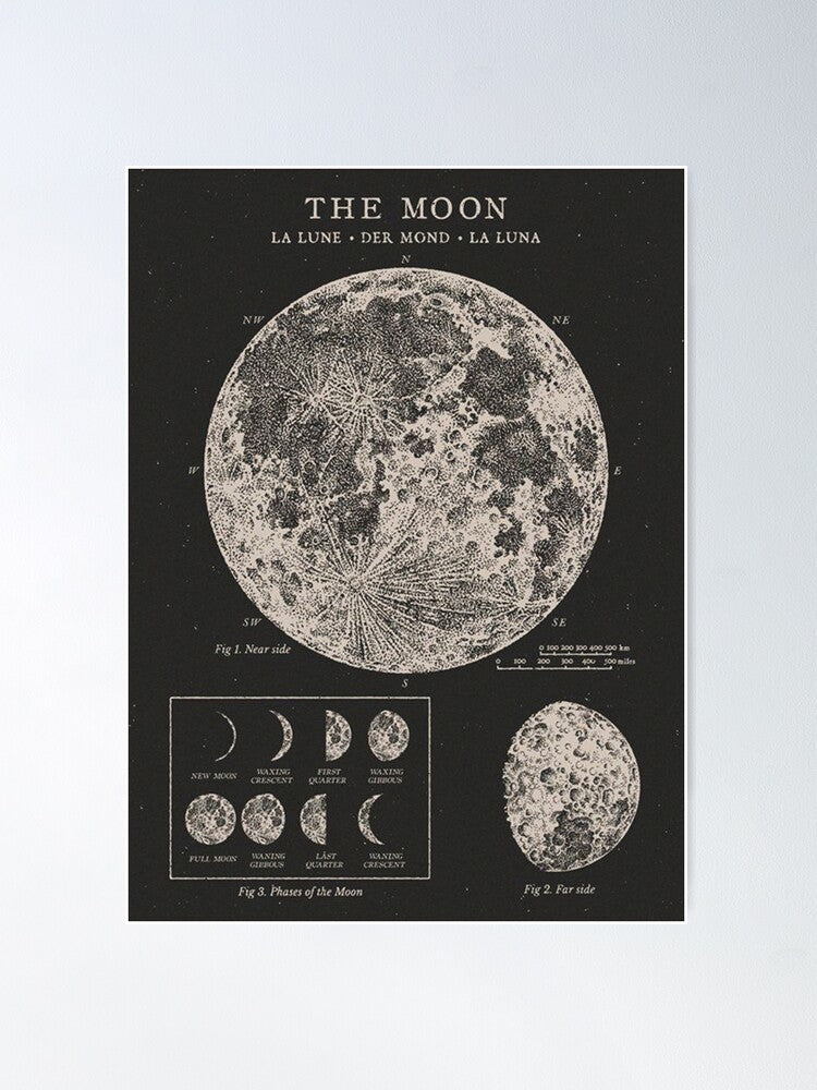 Moon Phases Vintage Poster