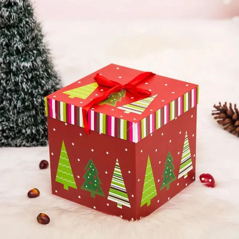 Christmas Gift Box - SpaceTrips