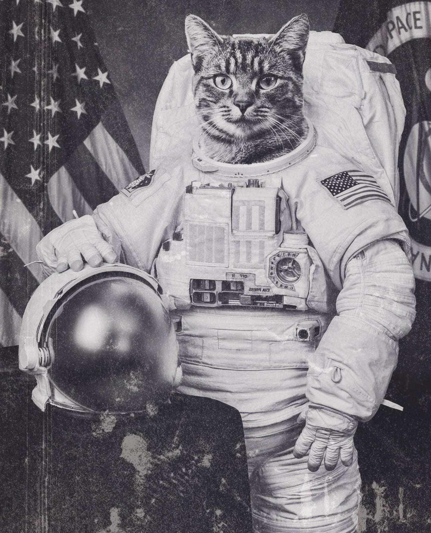 Vintage Astronaut Cat